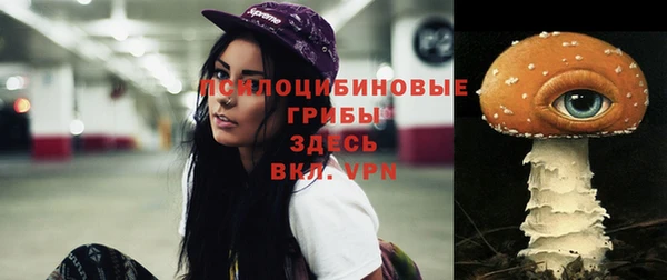 МДПВ Коряжма
