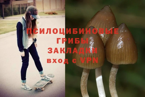 МДПВ Коряжма