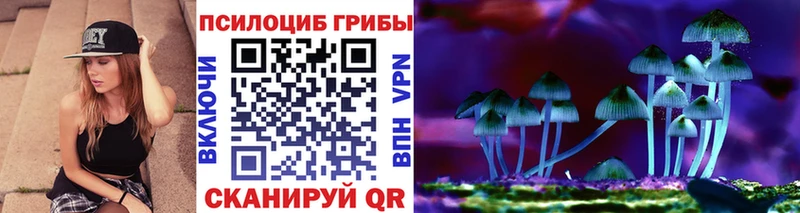 Купить где  Северская  Галлюциногенные грибы прущие грибы 