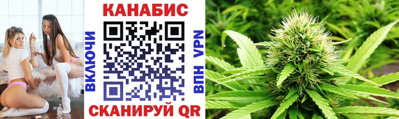 Конопля планчик  Купить где  Северская 